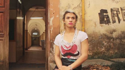 Além das 7 Cores Bild 3