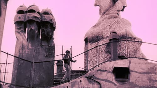 Hallucination Generation Bild 2