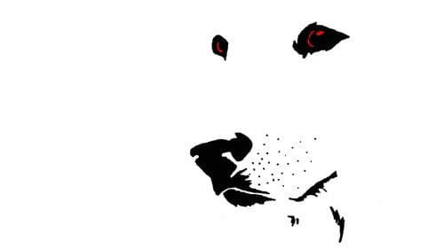 Der weiße Hund von Beverly Hills Bild 1