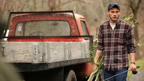 Zorniges Land Bild 5