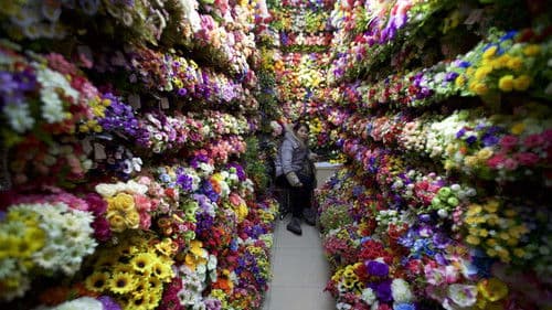 Commodity City Bild 1