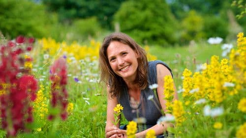 Colour: The Spectrum of Science Bild 5