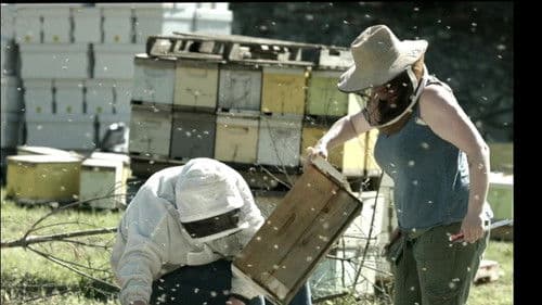 The Honey Bee Bild 4