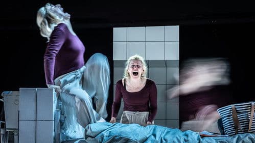 National Theatre Live: People, Places and Things Bild 2