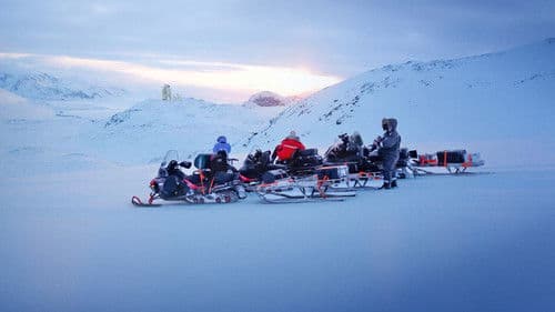 Den Eisbären so nah Bild 2