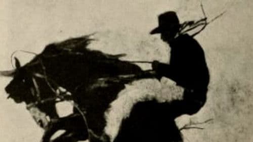 The Millionaire Cowboy Bild 1