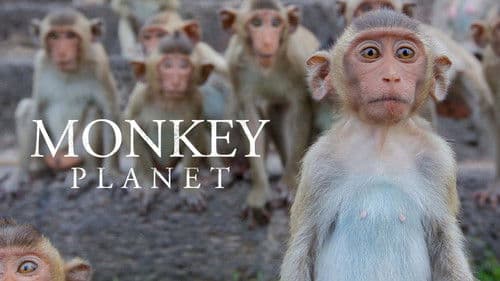 Monkey Planet Bild 2