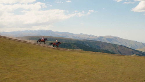 Мой любимый чемпион Bild 1