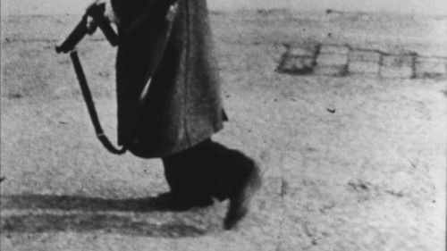 Same Player Shoots Again Bild 1