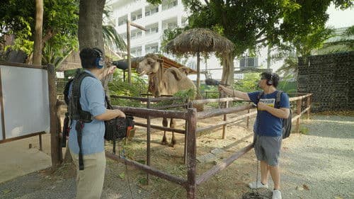 อวสานซาวด์แมน Bild 1