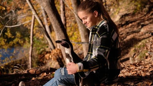 Die Chaosschwestern und Pinguin Paul Bild 3