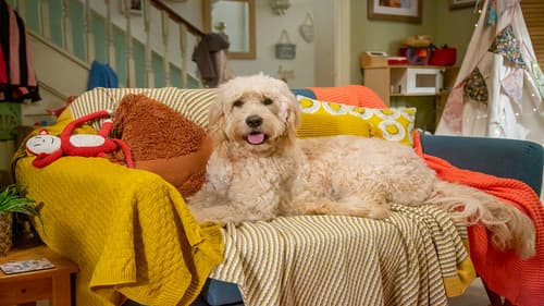 Biff and Chip Bild 2