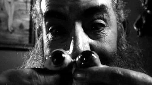 O Estranho Mundo de Zé do Caixão Bild 1