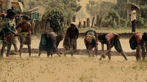 धुवानी Bild 1