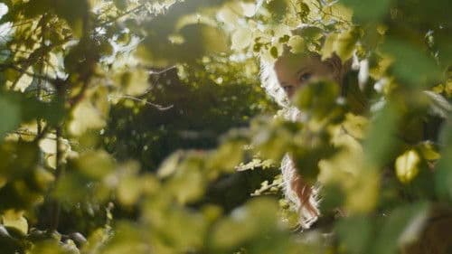 The Magic Faraway Tree Bild 2