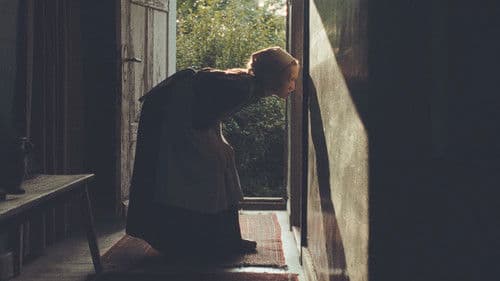 In die Sonne schauen Bild 5