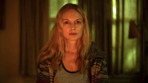 Entity Within Bild 1