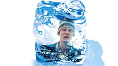 Nói albinói Bild 2