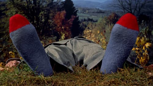 Immer Ärger mit Harry Bild 6