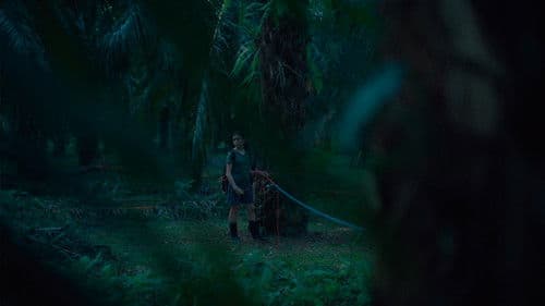 Si no ardemos, cómo iluminar la noche Bild 1