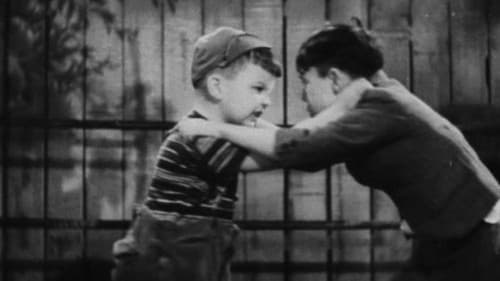 Das maskierte Wunder Bild 2