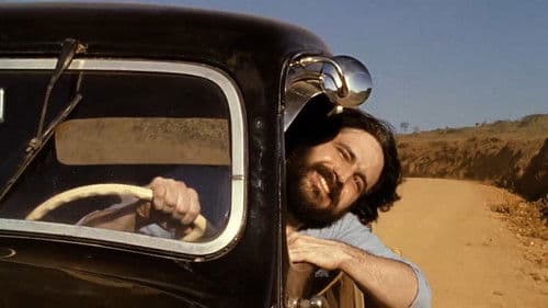 Mein kleiner Orangenbaum Bild 6