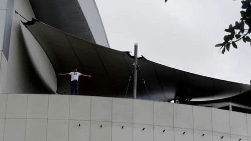 Mariposas Verdes Bild 3