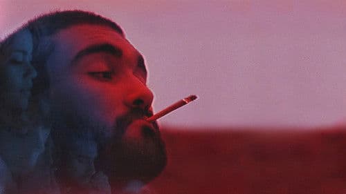 Verão Danado Bild 1