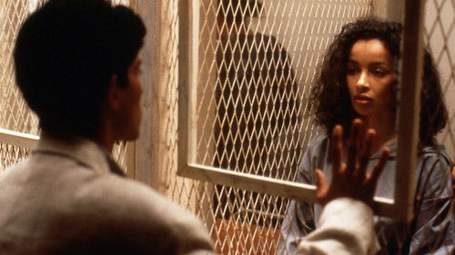 العسل والرماد Bild 3