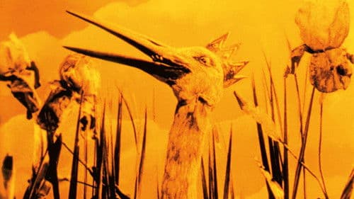 Les Grenouilles qui demandent un roi Bild 2