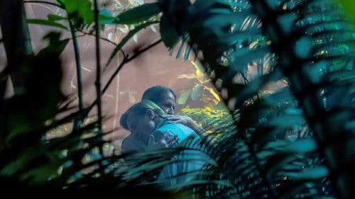 Sanfte Monster Bild 4