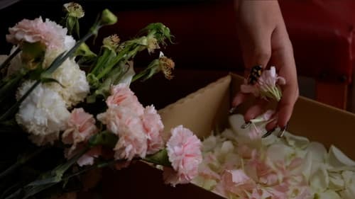 ¡Dolores guapa! Bild 2