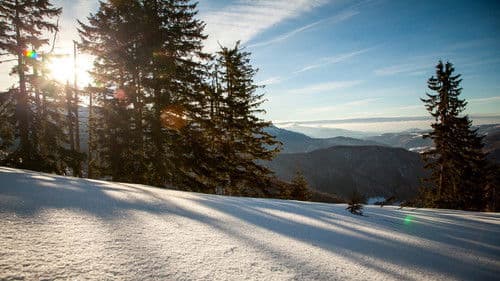 Ungezähmtes Rumänien Bild 4