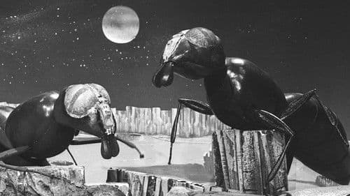 Doctor Who: The Web Planet Bild 1