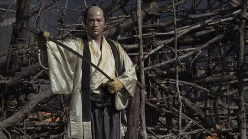 13 Assassins Bild 6