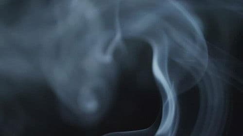 The Cannabis Question Bild 1