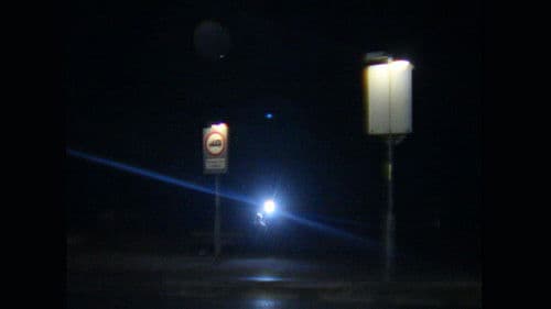 The Present Green Bild 1