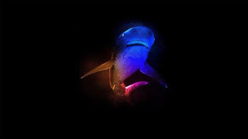 Mothersharker Bild 1