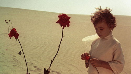 Mažasis princas Bild 2