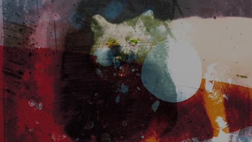 Mogwai: As the Love Continues Bild 1