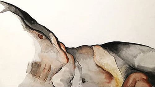 Precious Stones Bild 2