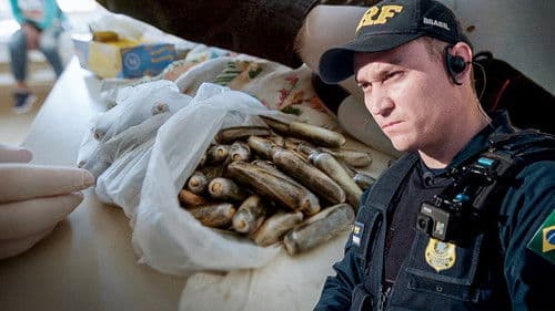 Operação Fronteira: América do Sul Bild 2