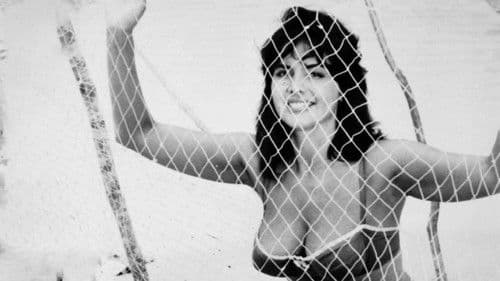 Tropische Sinnlichkeit Bild 1