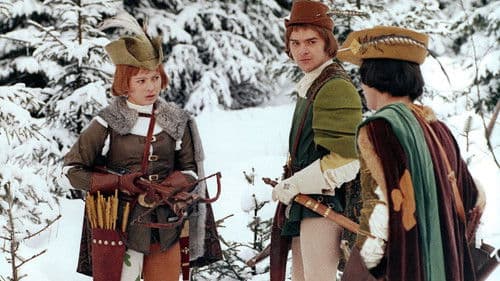 Drei Haselnüsse für Aschenbrödel Bild 3