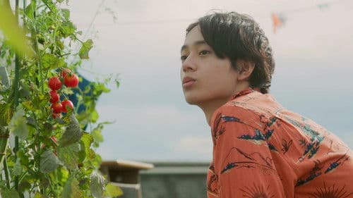 君のことだけ見ていたい Bild 3