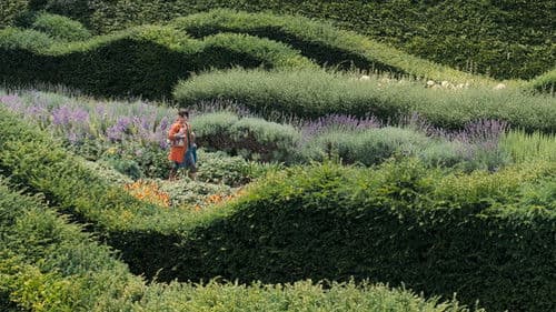 Happy-Go-Lucky Bild 5