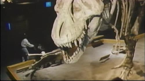 The Real Jurassic Park Bild 1