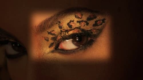 B'Day Anthology Video Album Bild 1