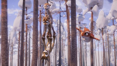 Niko - Reise zu den Polarlichtern Bild 3