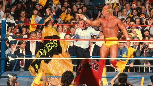 WWE WrestleMania V Bild 5
